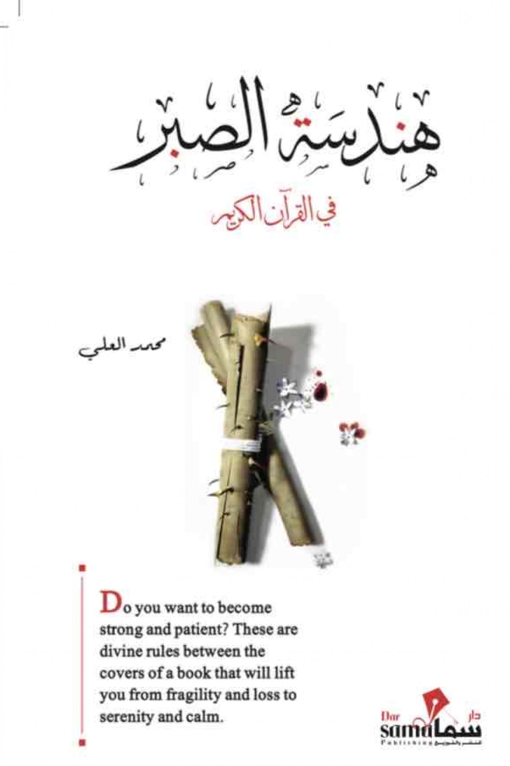 هندسة الصبر