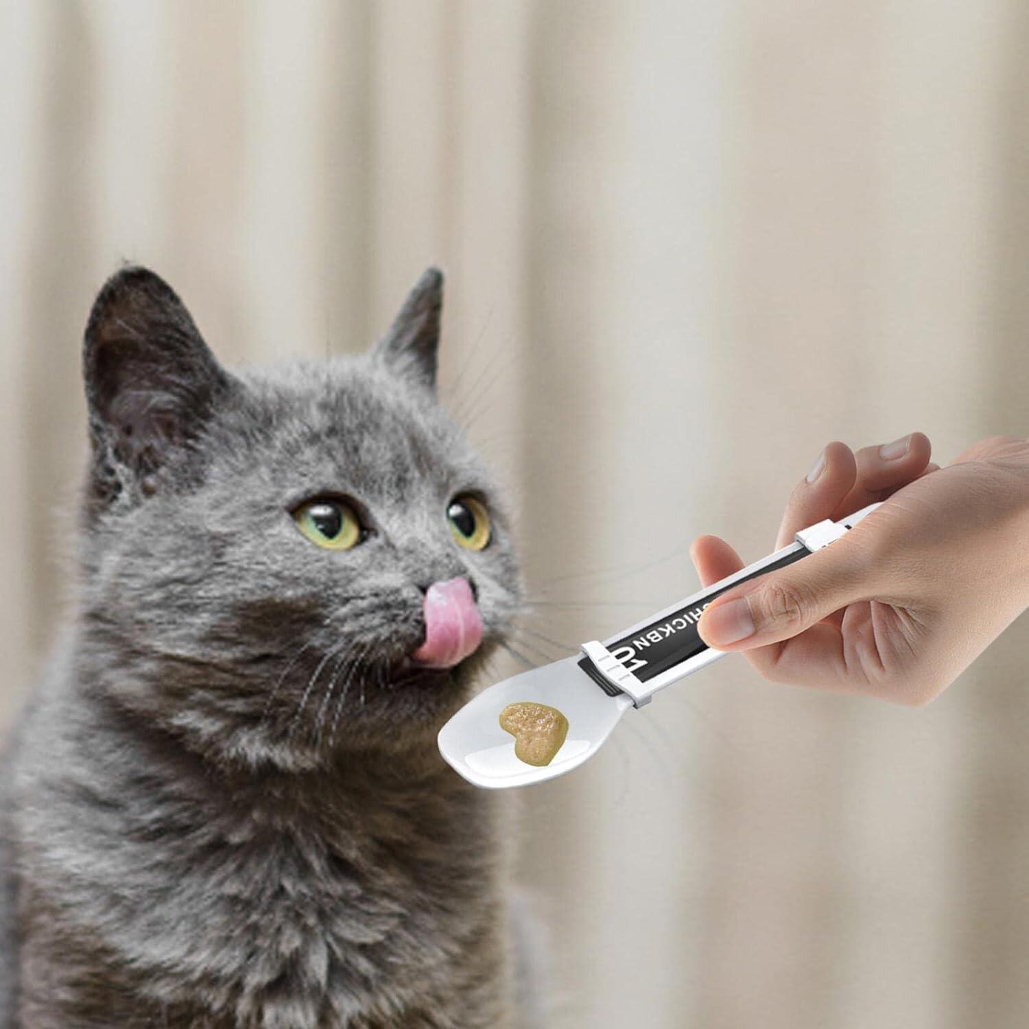 3 IN1 SLIDING PET PASTE AND LIQUID AND SNACK FEEDING SPOON