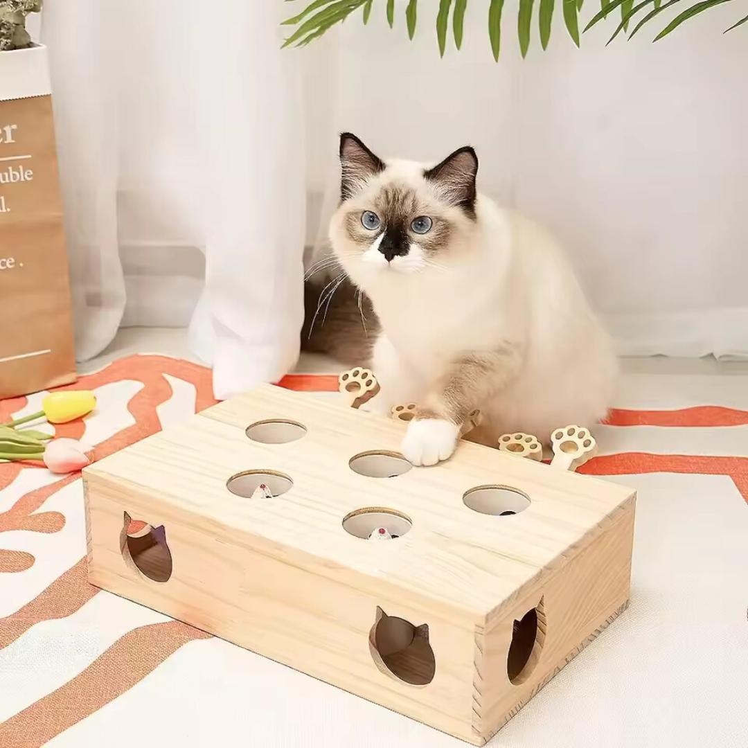 WOODEN CAT INTERACTIVE TOY