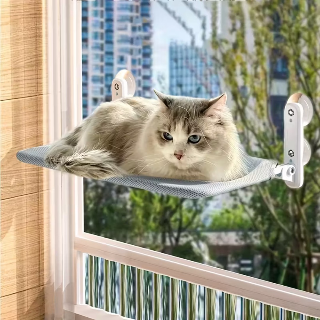 FOLDABLE CAT WALL BED