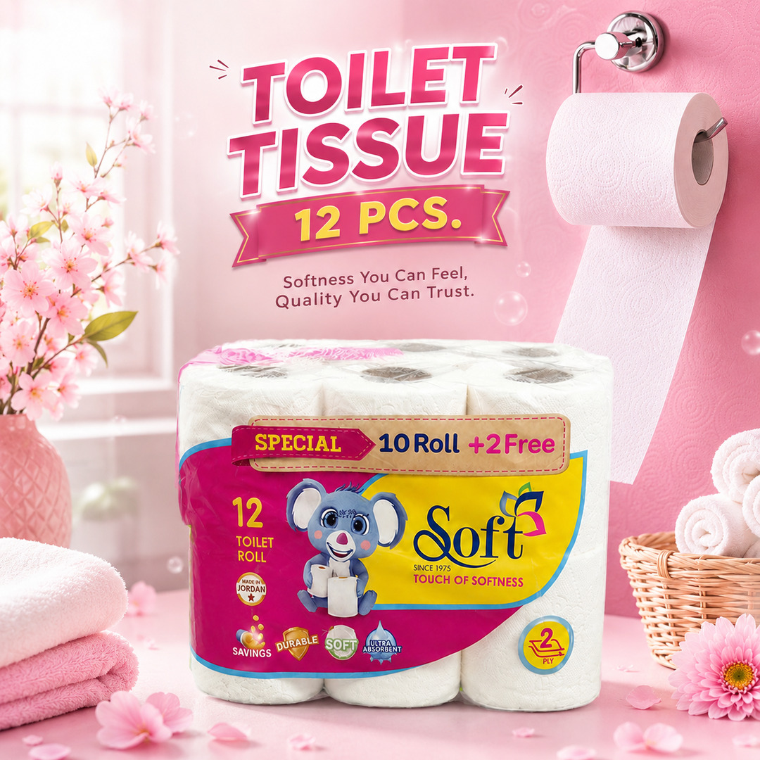 200*12PCS 2PLAY TOILET TISSUE ROLL